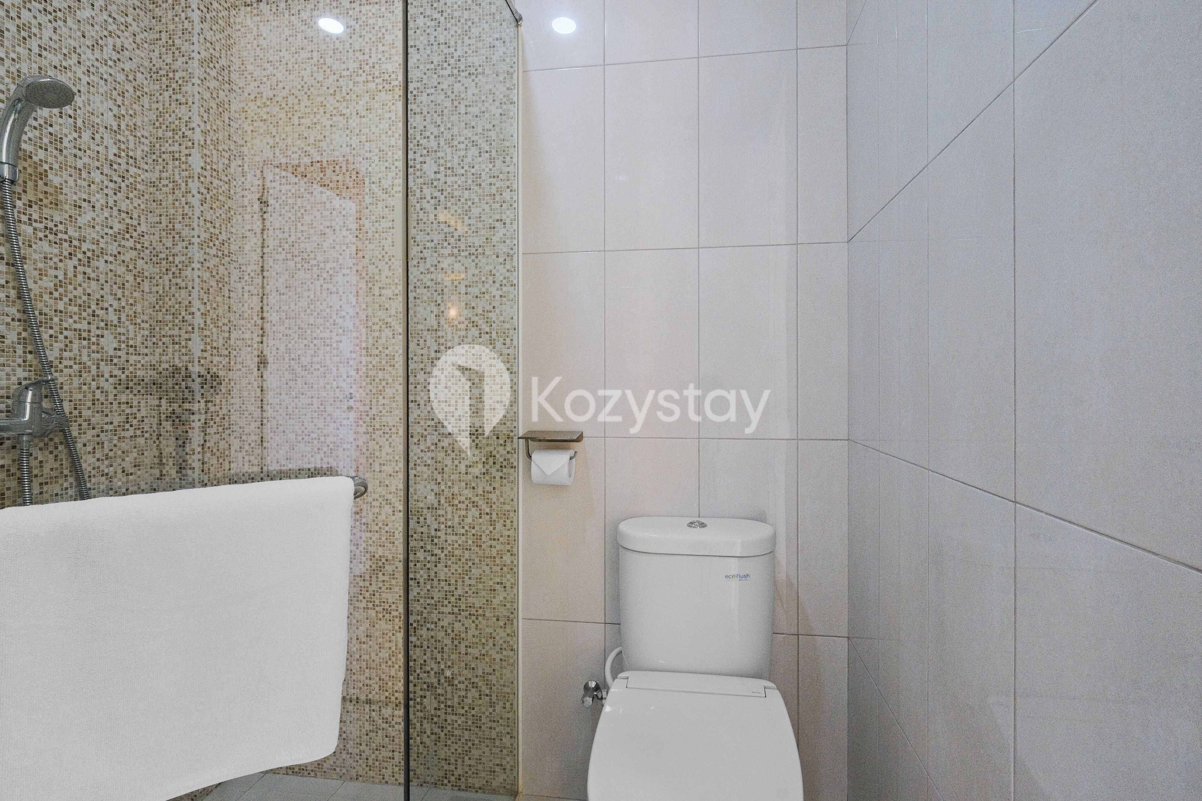 Une salle de bain avec une douche, des toilettes et un porte-serviettes.