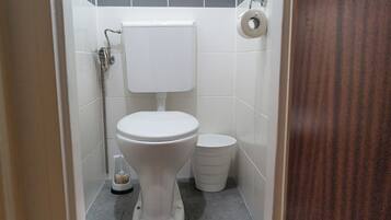 Basic Apartment | Bathroom | Shower, free toiletries, hair dryer, towels