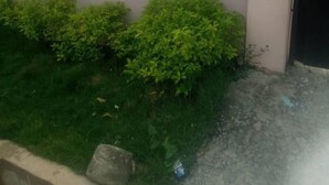 A sign indicating 'HOUSE 18' on a wall with a small garden area in front. - PROMISE HOTELS HOMES AND APARTMENT (Lagos)