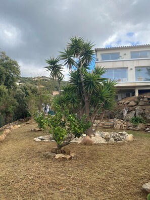 Áreas de la propiedad