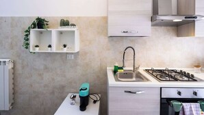 Une cuisine moderne équipée d’une cuisinière à gaz, d’un évier et de placards intégrés.