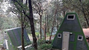 Duas cabanas verdes em formato triangular numa área arborizada, com caminhos de pedra e pequenas plantas.