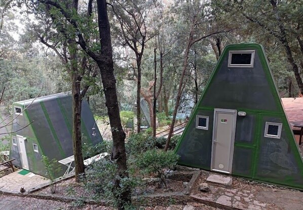 베이직 방갈로, 공원 전망