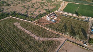 الإطلالة من المنشأة