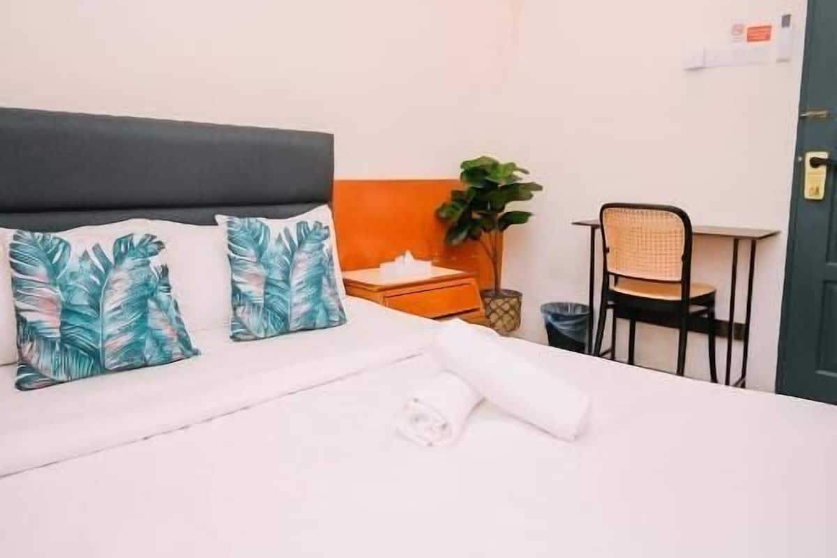 Ein ordentlich bezogenes Bett mit weißer Daunendecke und zwei Zierkissen, ein kleiner Tisch mit Stuhl und eine Kübelpflanze in der Ecke.