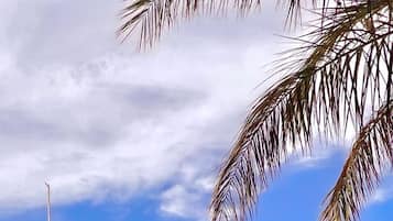 Kolam renang outdoor