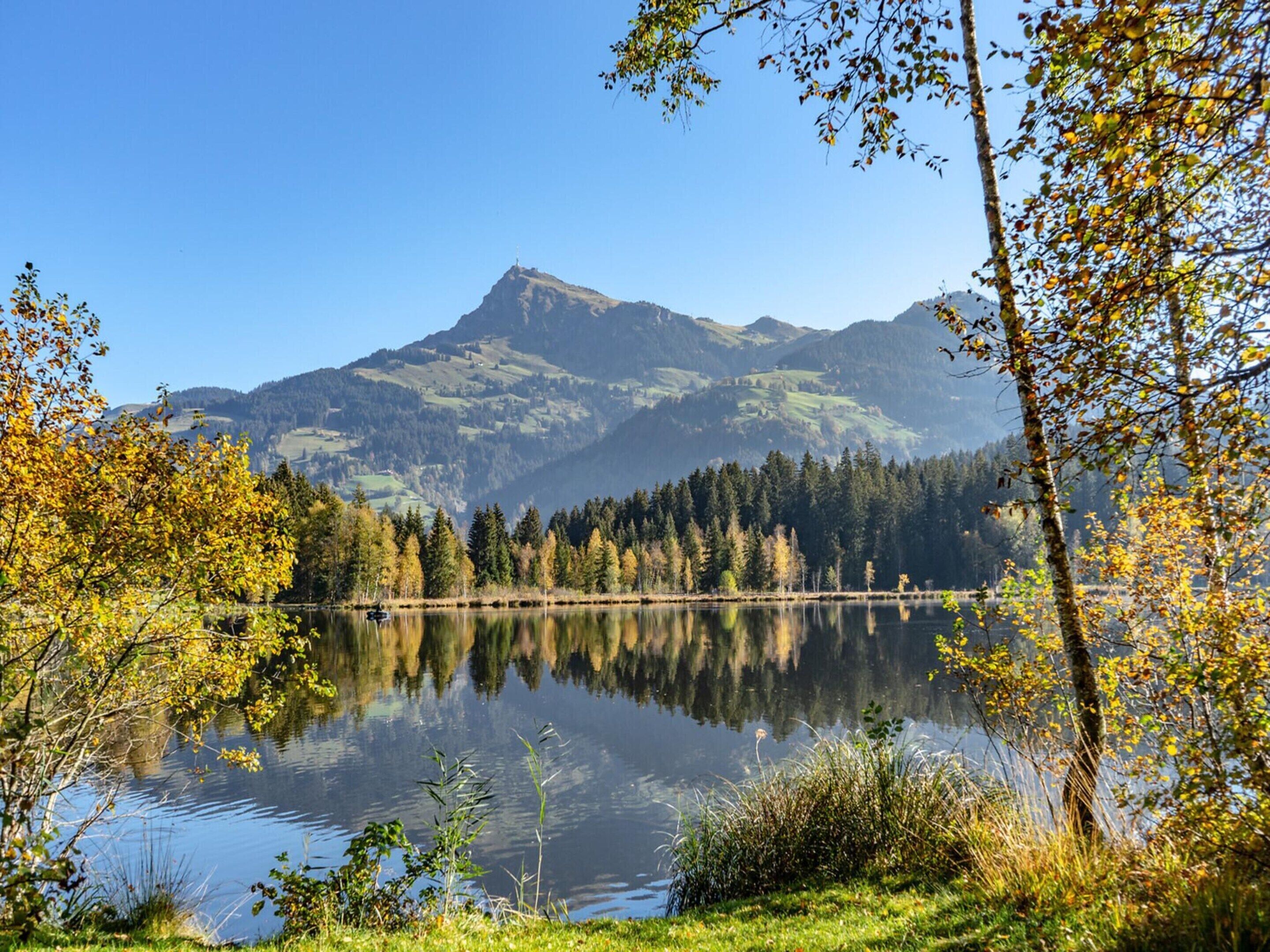 Un lago tranquilo con una montaña al fondo, rodeado de árboles y cielos despejados.