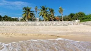 A sandy beach with palm trees and a stone wall in the background.