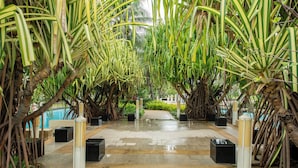 A pathway flanked by tall, striped plants leading to a pool area.