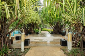 Un sendero bordeado por plantas altas y rayadas que conduce a una zona de piscina.