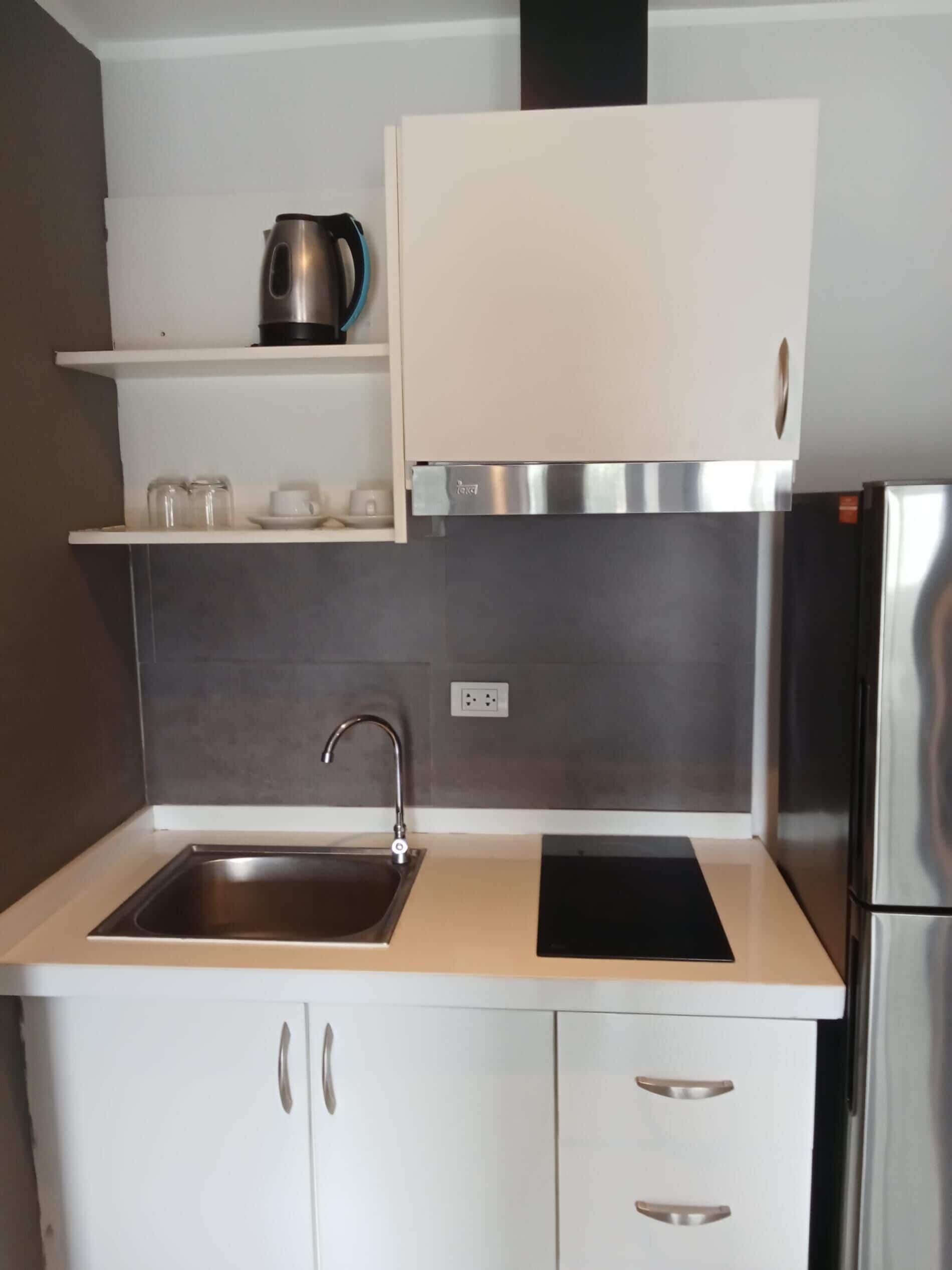 Apartment, Balcony, Mountain View | Private kitchenette