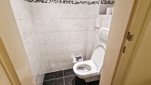 Basic Apartment | Bathroom | Combined shower/tub, free toiletries, hair dryer, towels