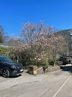 Property grounds - Apartment 'Buntspecht' with Mountain View, Private Terrace and Wi-Fi (Bad Wildbad)