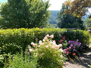 Property grounds - Apartment 'Buntspecht' with Mountain View, Private Terrace and Wi-Fi (Bad Wildbad)