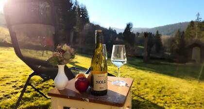 Apartment 'Alte Schmiede 2 Fewos' mit Bergblick, privater Terrasse und WLAN