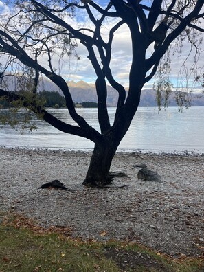 Beach - Spacious 3-Bed Home for 6 – Near Town & Views (Queenstown)