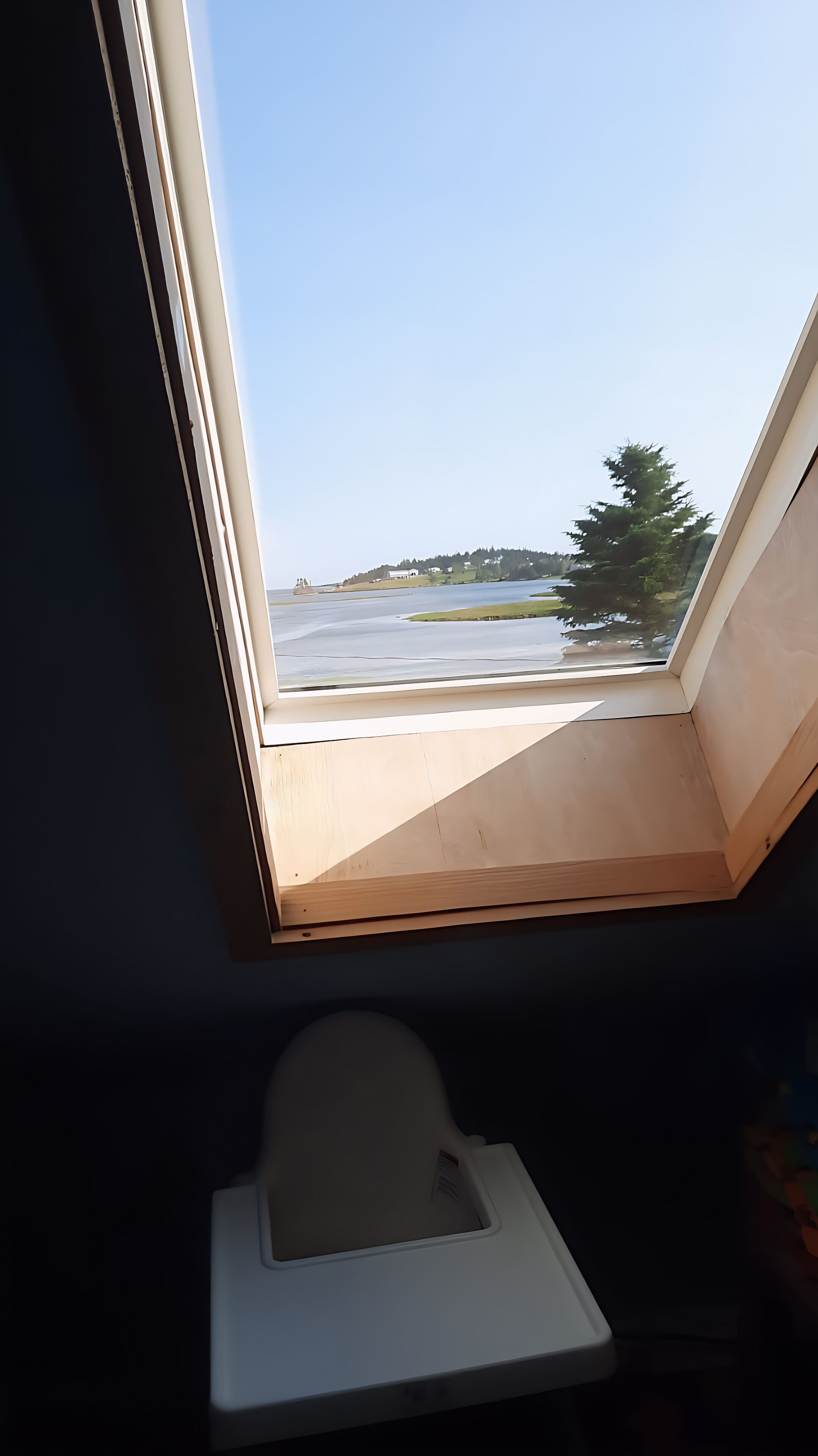 A skylight window with a view of a road and trees.