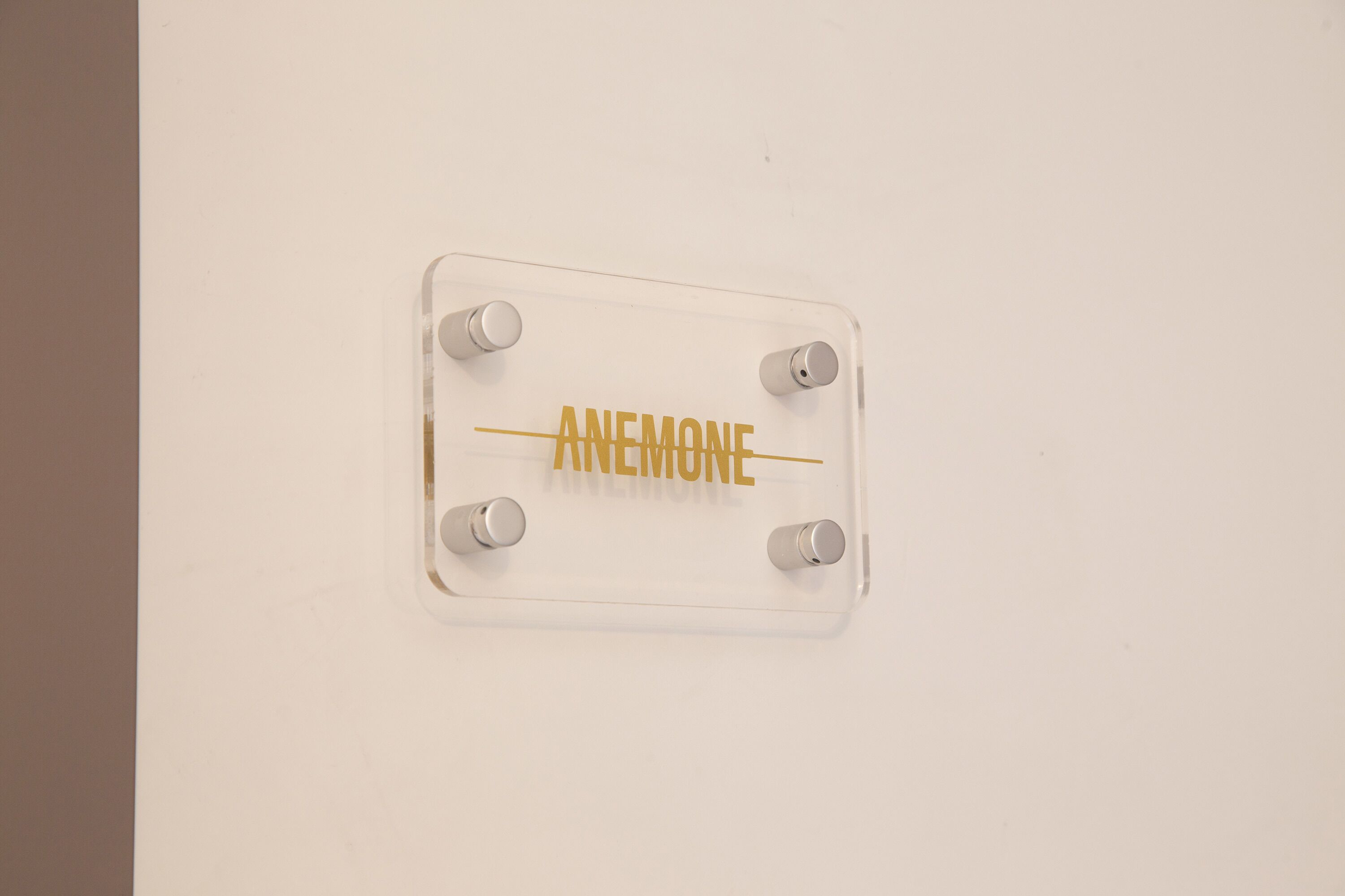 Un panneau transparent en acrylique, sur lequel le mot « ANÉMONE » est inscrit en lettres dorées, fixé à un mur blanc à l’aide de quatre vis.