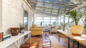 A sunroom with a checkered floor, large windows, and a variety of plants.