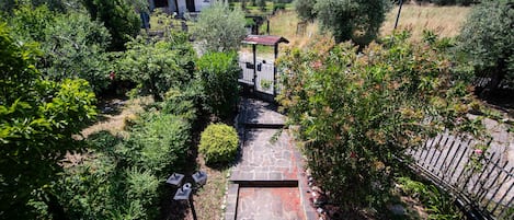 Apartment | 1 Schlafzimmer