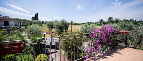 Appartement | 1 chambre