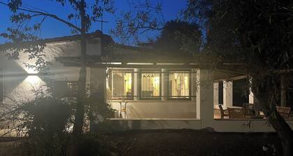Villa surrounded by a centuries-old olive grove