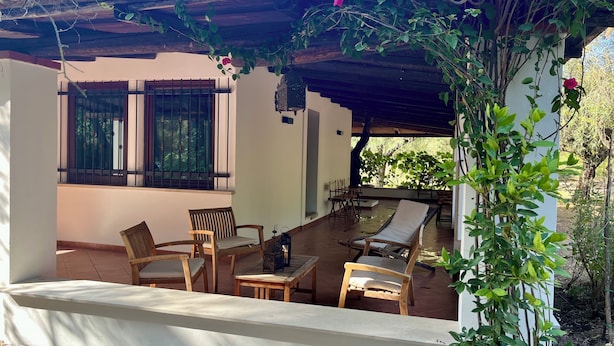 A covered outdoor seating area with wooden furniture and a pergola.
