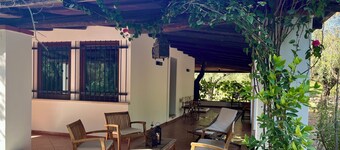 Villa surrounded by a centuries-old olive grove