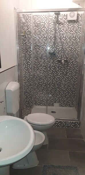 Sèche-cheveux, bidet, serviettes fournies, savon