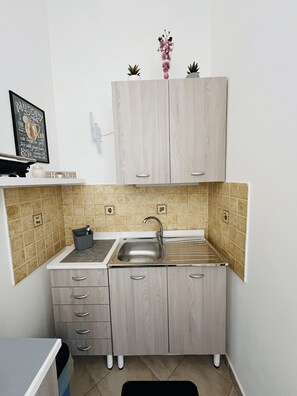 Fridge, microwave, stovetop, electric kettle