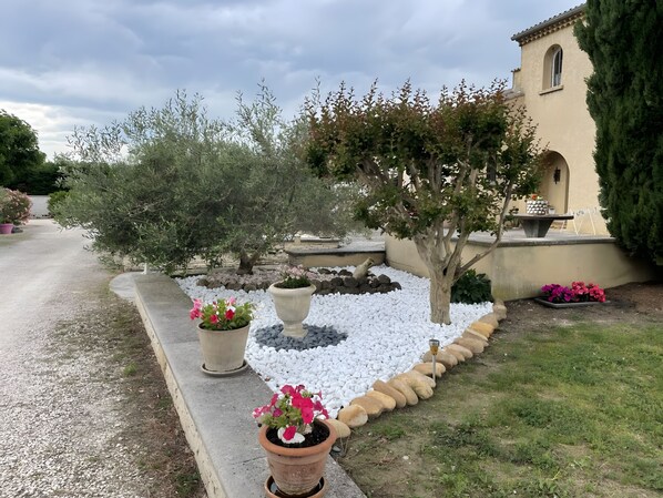 المنطقة المحيطة بالمنشأة