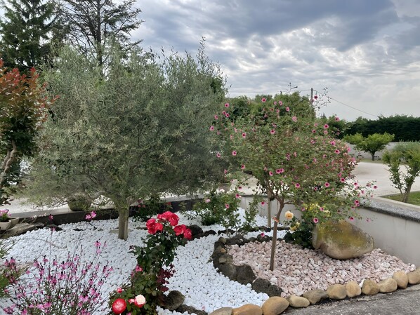 المنطقة المحيطة بالمنشأة