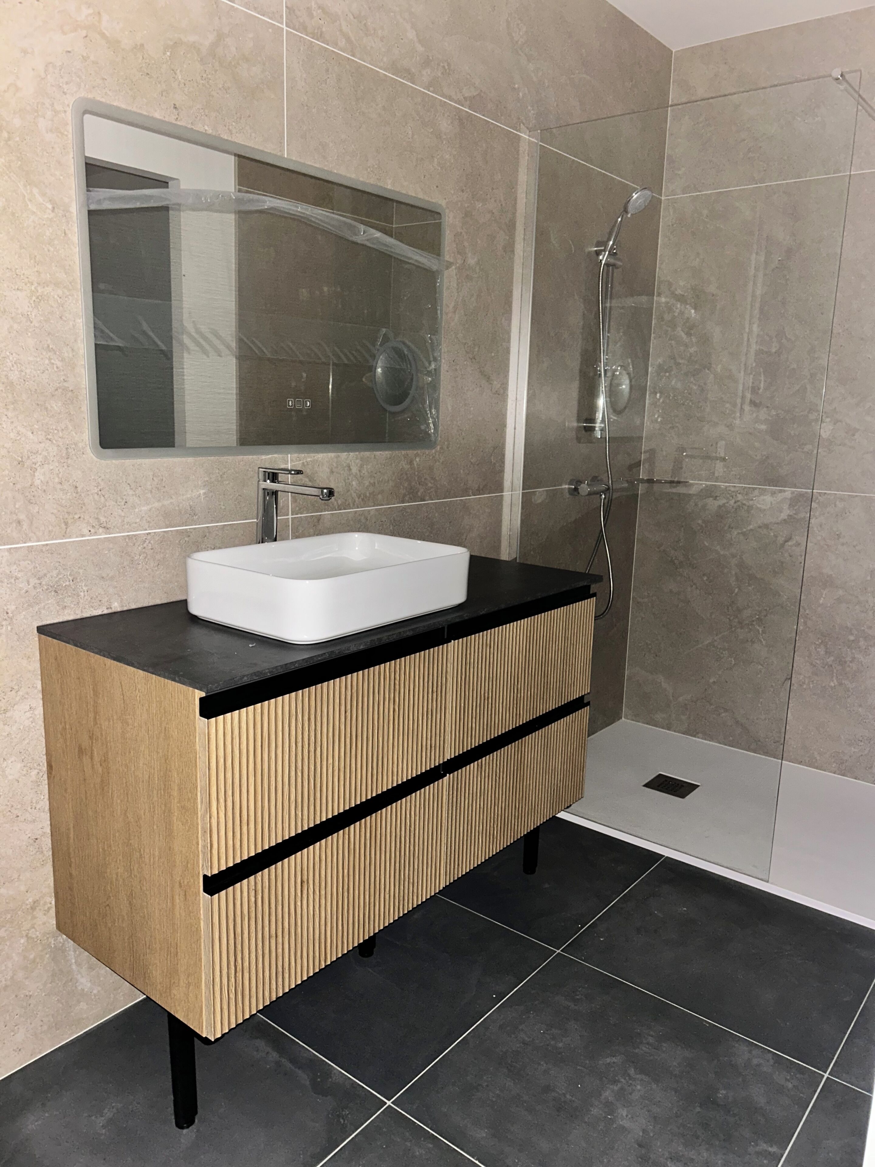 Shower, hair dryer, toilet paper