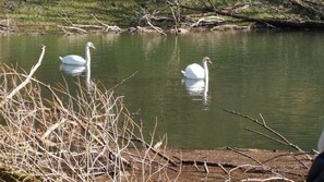 Sauna - SILONCE Hotel Bilstein - Lennestadt (Lennestadt)
