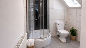 A modern bathroom with a glass-enclosed shower, a toilet, and a skylight. - SILONCE Hotel Bilstein - Lennestadt (Lennestadt)