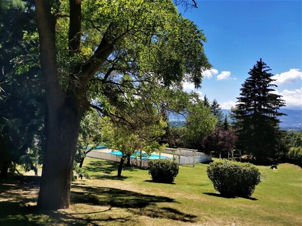 A lush garden with a swimming pool, surrounded by trees and a view of the mountains.