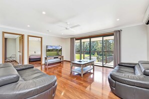 Televisión y chimenea