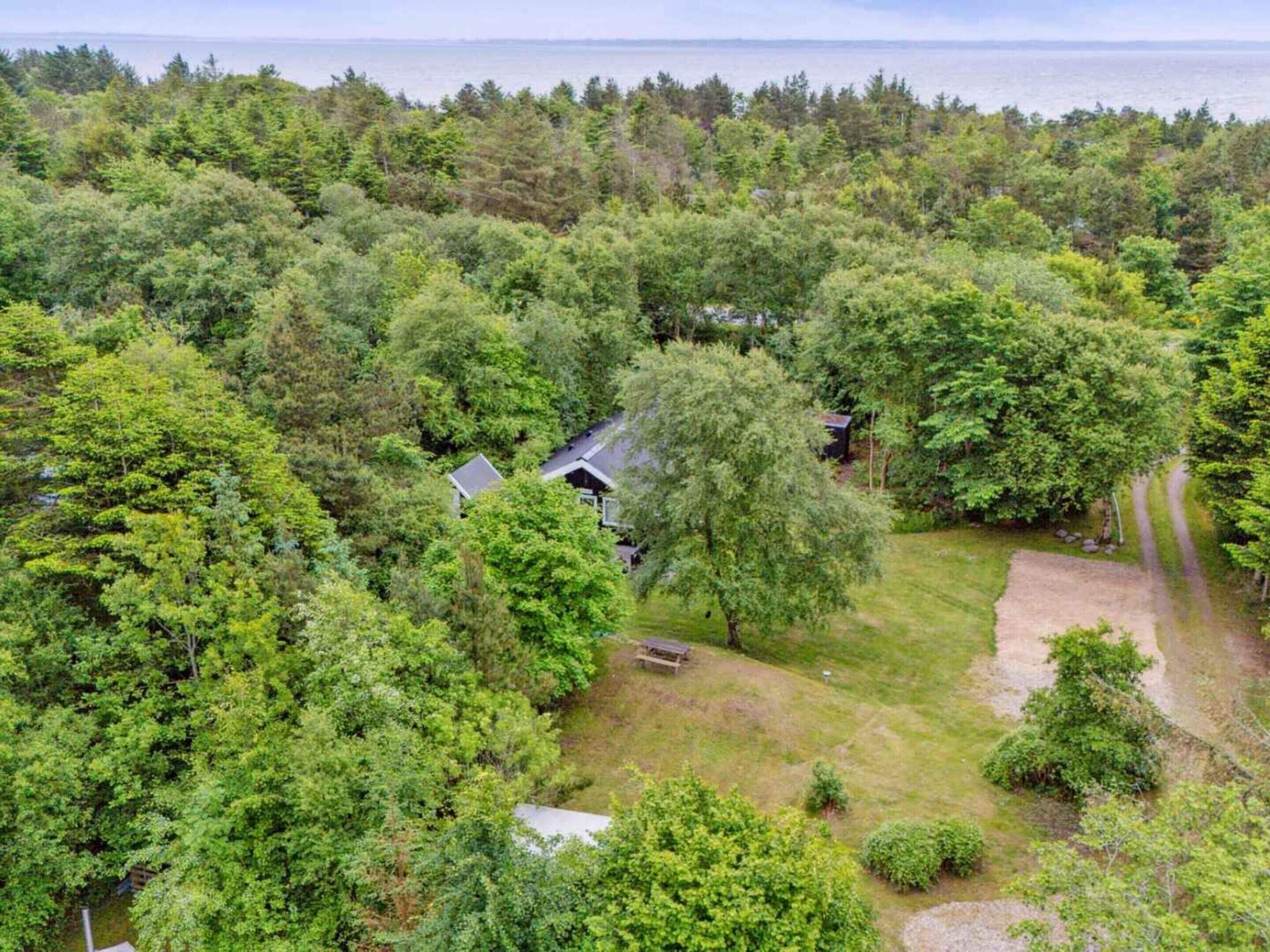 Uma casa isolada rodeada por uma floresta densa, com vista clara para o oceano ao fundo.