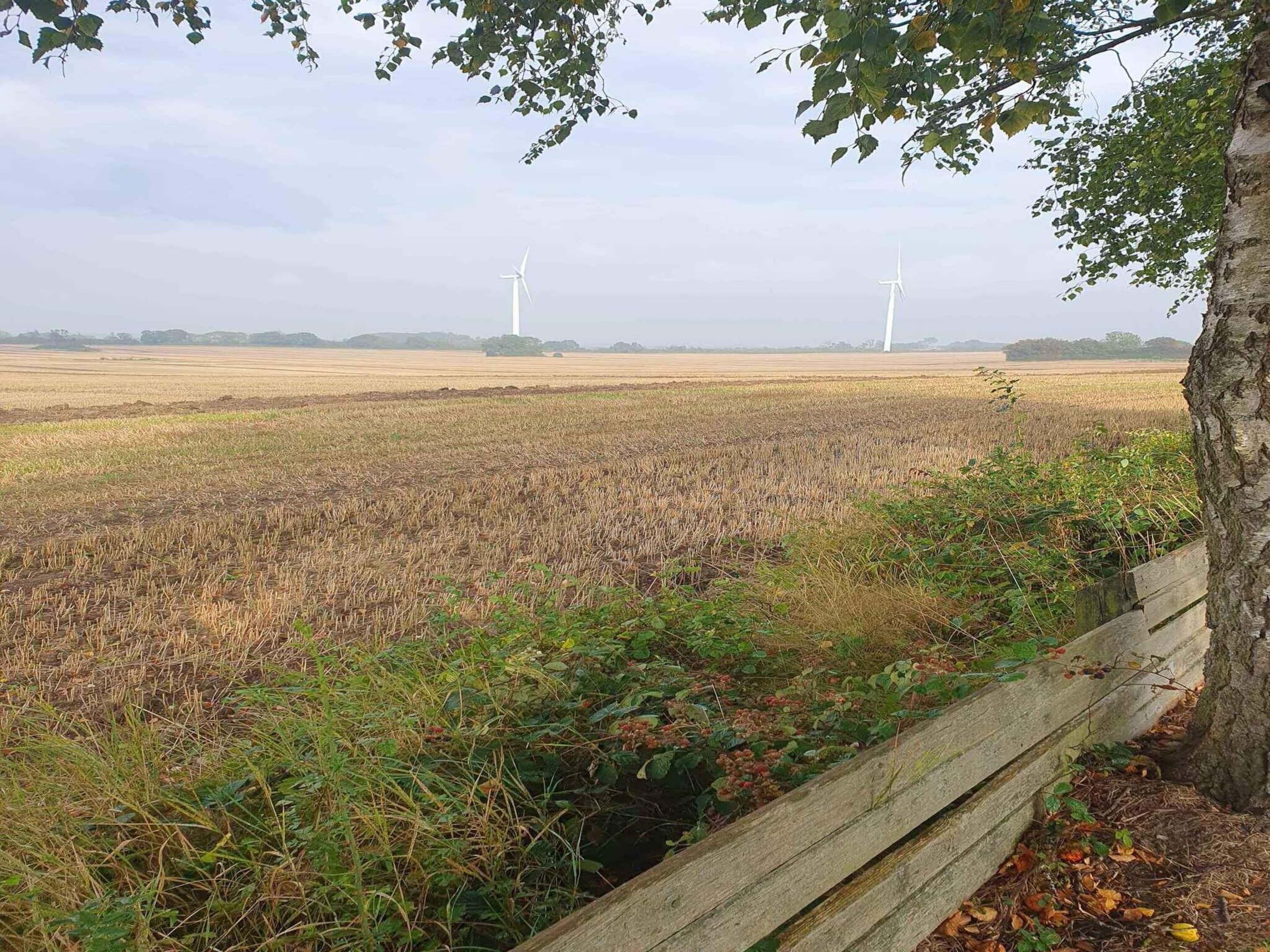 A rural landscape with a field and wind turbines in the distance.