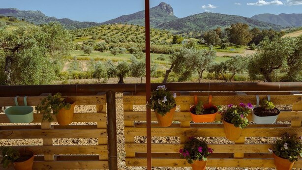 Un balcone con vasi di piante e vista su un paesaggio montuoso.