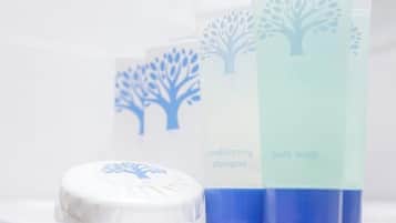 Hair dryer, towels, soap, toilet paper