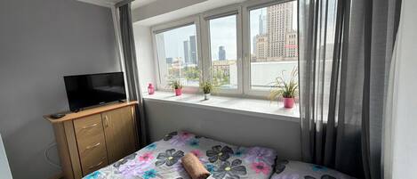 A bedroom with a bed, a TV on a wooden cabinet, a window with a city view, and a potted plant on the windowsill.