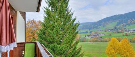 A balcony with a green chair, a wooden railing, and a view of a green field and trees.