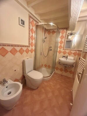Shower, hair dryer, bidet, towels