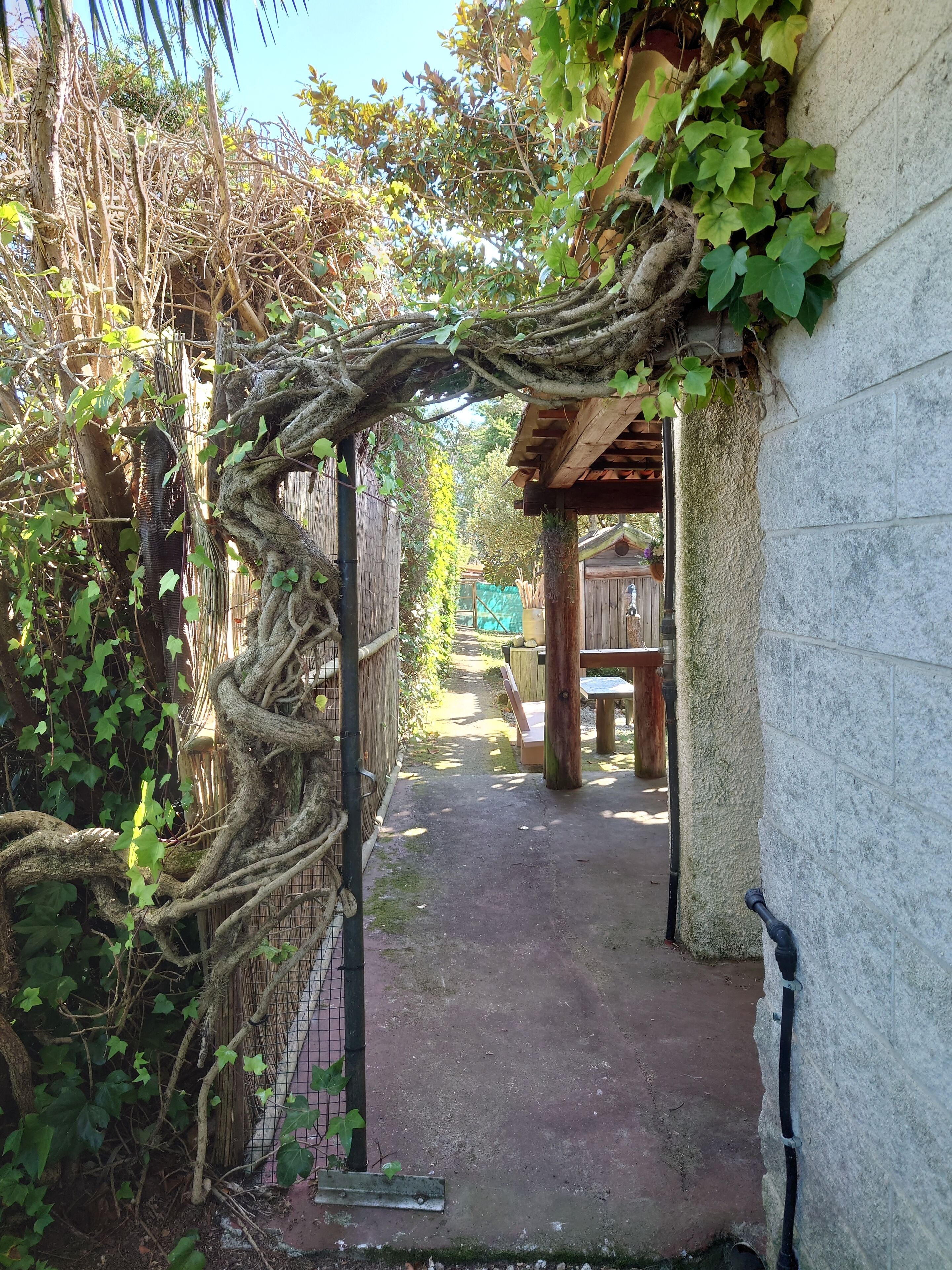 Overnattingsstedets uteområder