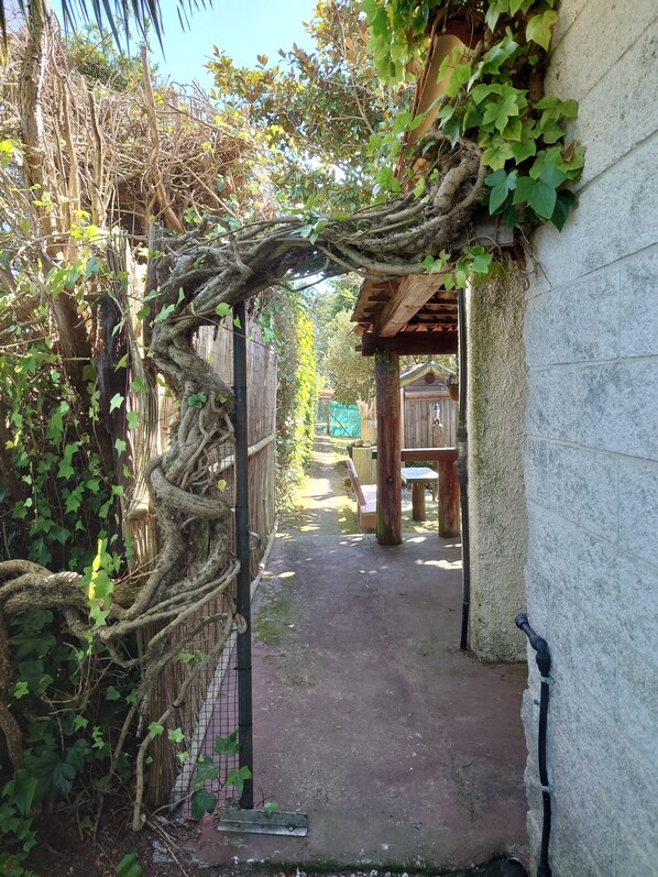 Terrein van de accommodatie