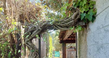 Charming cottage, quiet location, close to the sea and nature