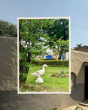 บริเวณภายนอก