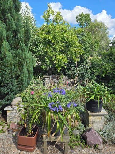 Stunning 6 room house in Stockholm with a botanical garden and lakeview