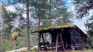 A rustic cabin with a wooden porch and a thatched roof, surrounded by dense forest and mossy ground. - 4 Star Holiday Home in Bergshamra (Bergshamra)
